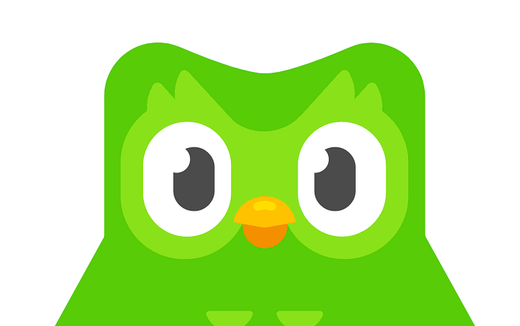 Duolingo's Duo, a green cartoon owl with large eyes and an orange beak.